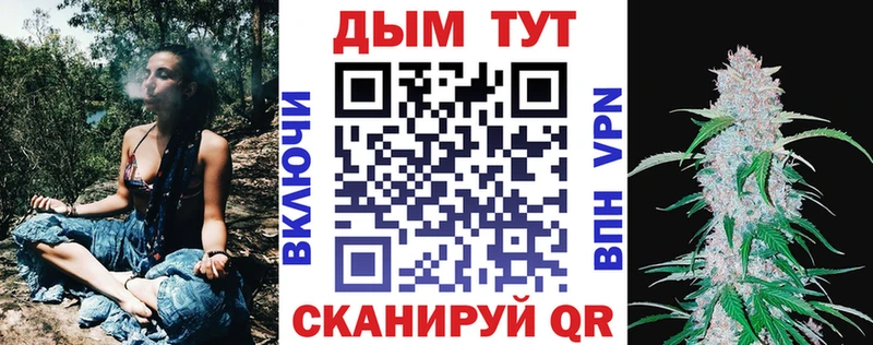 Где купить Сосновый Бор Alpha PVP  Марихуана  АМФЕТАМИН  Гашиш  МЕФ 