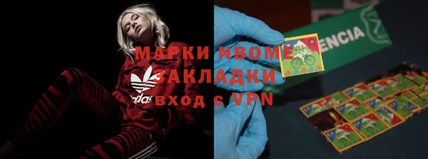 крисы Алексин