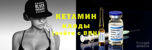 крисы Алексин