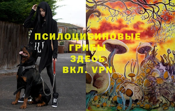 экстази Алексеевка