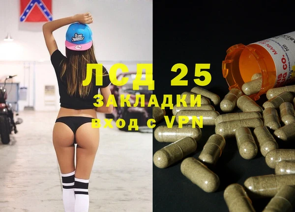 крисы Алексин