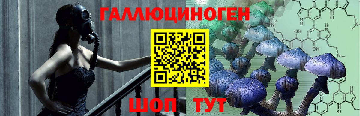 цены наркотик  Псилоцибиновые грибы MAGIC MUSHROOMS  Вход с VPN  Сосновый Бор 