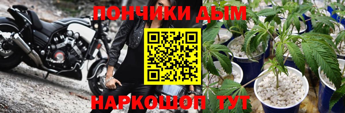 МАРИХУАНА Bruce Banner Сосновый Бор