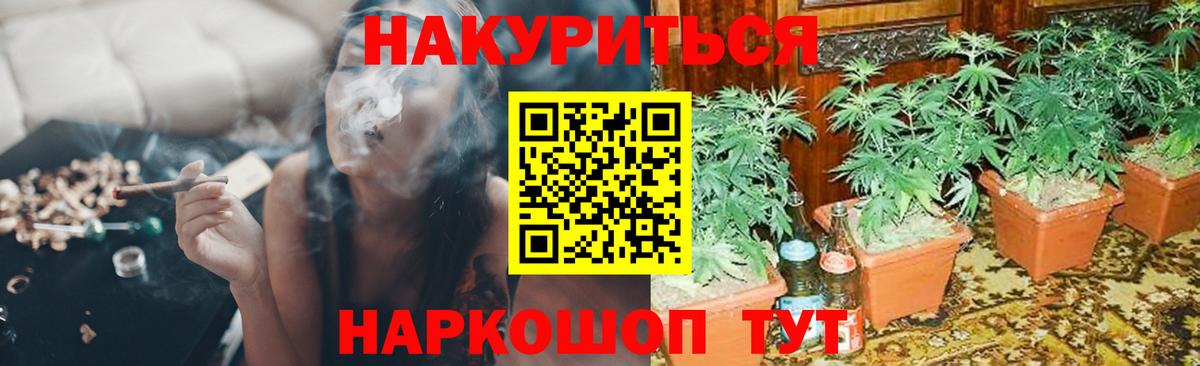 Бошки марихуана марихуана  МАРИХУАНА индика  Марихуана SATIVA & INDICA  Сосновый Бор  Вход с VPN 